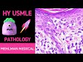 HY USMLE PATHOLOGY - #259