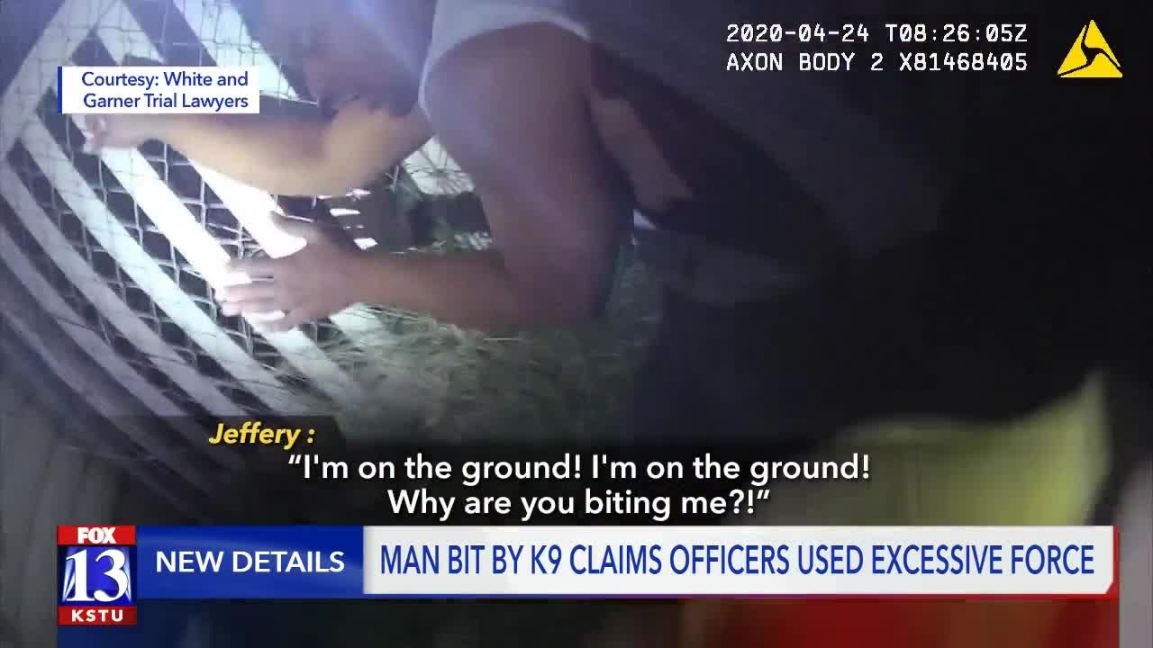 Officer Suspended For Siccing K9 on Man In His Own Yard