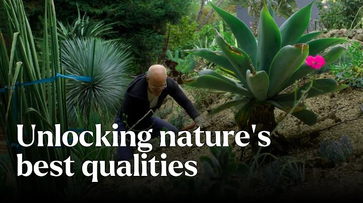 Unlocking nature’s best qualities - Nature's Building Blocks | BBC StoryWorks