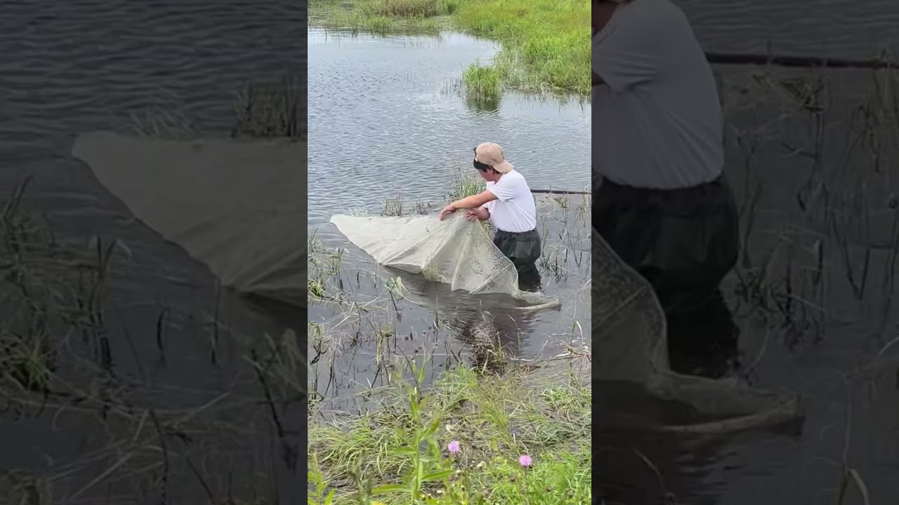 Fishing In Mohe The Northeast Joy Of Outdoor Wild Experiencex 427