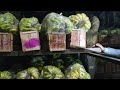 cold storages for fruits and vegetables,