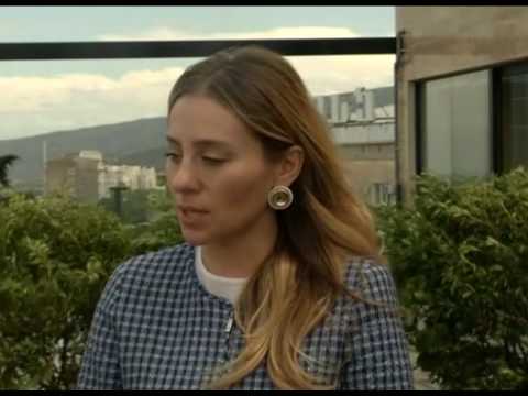 ავიაკომპანიის წარმომადგენლებს პროგრამა \"გადაიღე საქართველოში\" გააცნეს