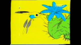 TMF/The Music Factory - Continuity and Adverts (March 2005)