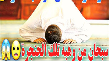 أجمل صوت قد تسمعه!! ||سورة فصلت||