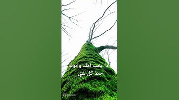 #قرآن #عبدالرحمن_مسعد_تلاوة_جديدة #عبدالرحمن_مسعد
