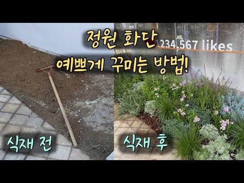 셀프로 정원 화단🪴 예쁘게 만드는 방법! | 식물 멋있게 배치하는 4가지 방법! | 화단 만들기 꿀팁 | 정원 시공 | 정원 디자인