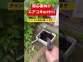 低価格高性能　エアコキm1911射撃‼️#エアガン