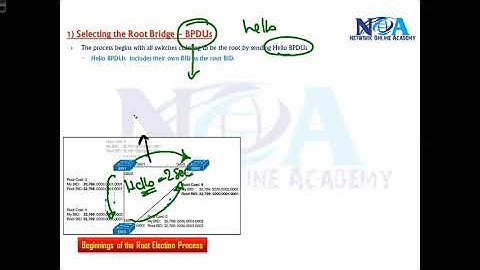 004 Selecting Root Bridge