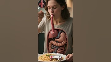 Anatomy of Eating: Watch a Man