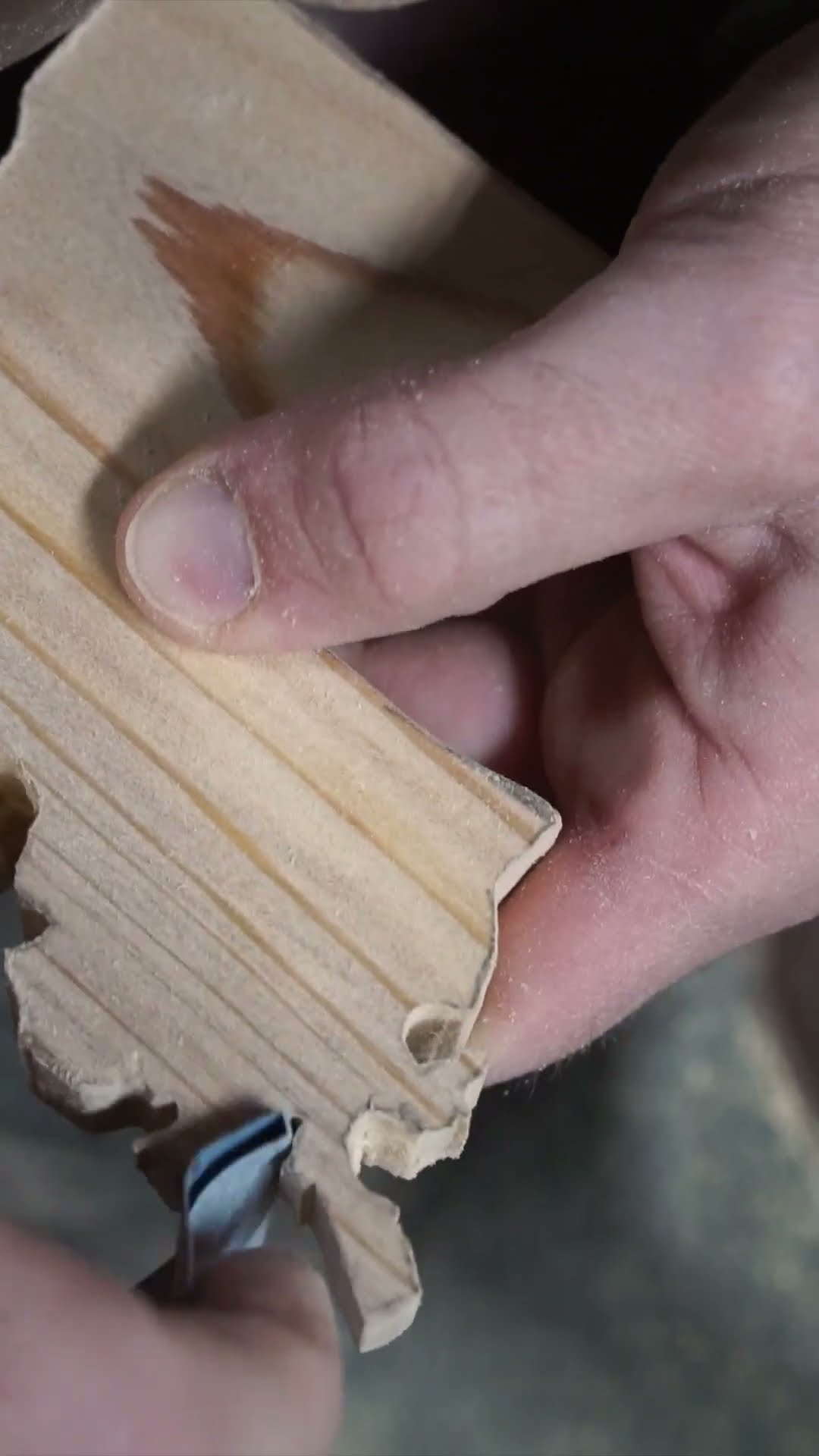 Making Louisiana out of Bald Cypress | Official State Tree Map #shorts #trees #wood
