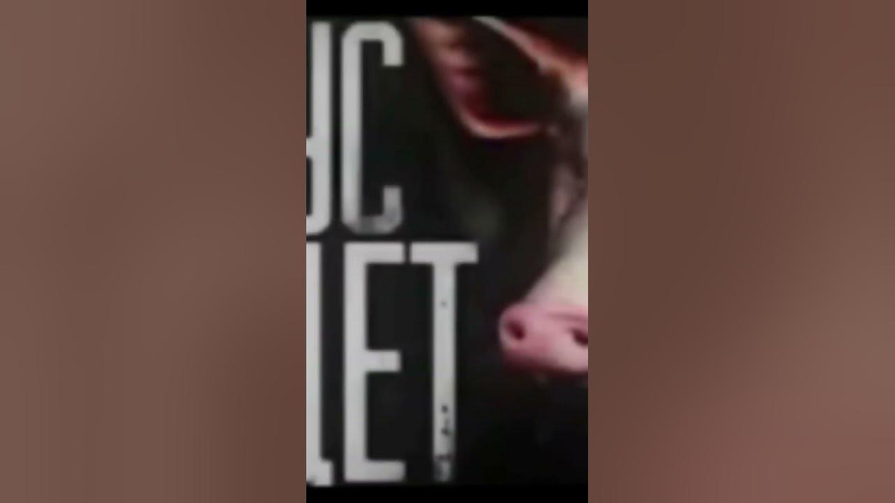 Свинтус придет - YouTube