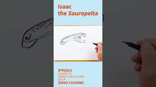 Head Close-up Drawing of a Sauropelta--Learn to Draw Dinosaurs with ZHAO Chuang
