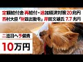 【特別定額給付金 二回目・菅政権 追加経済対策】西村大臣 会見「20兆円 財政出動すべき」岸田文雄「予備費 7.7兆円」VS 麻生ブロック【持続化給付金・再給付】