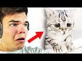 REACTING TO THE SADDEST VIDEOS ON THE INTERNET!