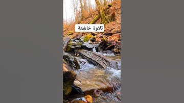 #قرآن_كريم #اكسبلور #قران #تيك_توك #لايك #حالات_واتس #ترند #تلاوة_خاشعة #تلاوة_هادئة #تلاوة