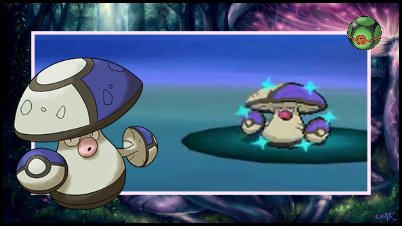 live ishc 5 shiny