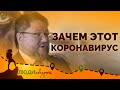 Правда о коронавирусе. Коронавирус - политическая война или пандемия. Коронавирус в России.