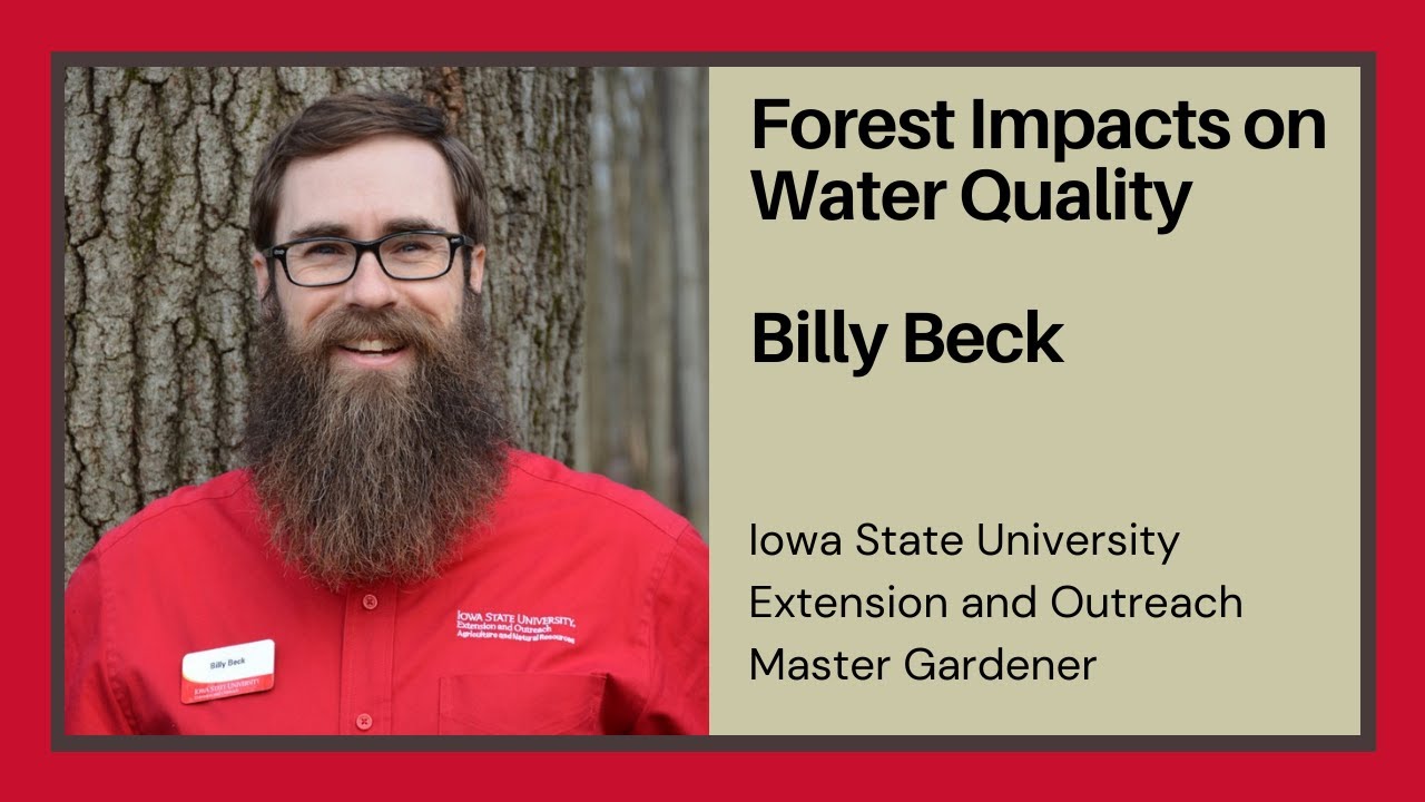 Forest Impacts To Water Quality