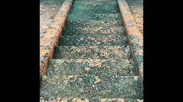 سورة الناس الشيخ نعمة الحسان راحة نفسية Surat Al-Nas Sheikh Nehme Al-Hassan