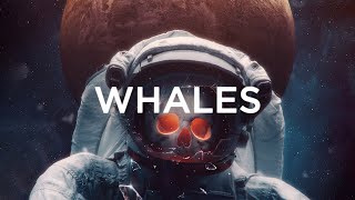 Whales & Fytch - Beyond (Lyrics)
