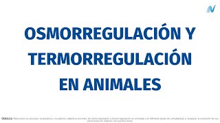 Osmorregulación Y Termorregulación En Animales