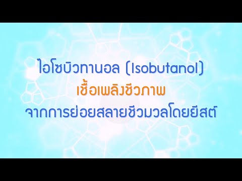 พลังวิทย์ คิดเพื่อคนไทย ตอน ไอโซบิวทานอล (Isobutanol) เชื้อเพลิงชีวภาพ จากการย่อยสลายชีวมวลโดยยีสต์