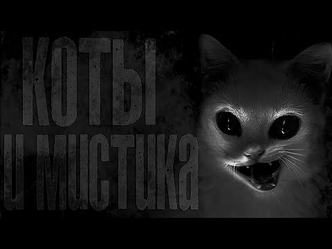 Коты и мистика.  Семь интересных #фактов о кошках