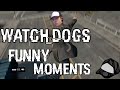 Watc.ogs funny moments  acousticharmonia twitch highlights