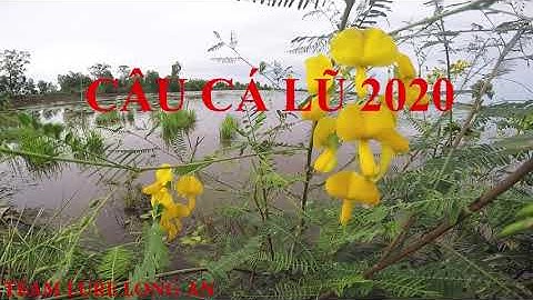 #32 TEAM LURE LONG AN - ANH EM HỘI TỤ ĐI CÂU CÁ MÙA LŨ