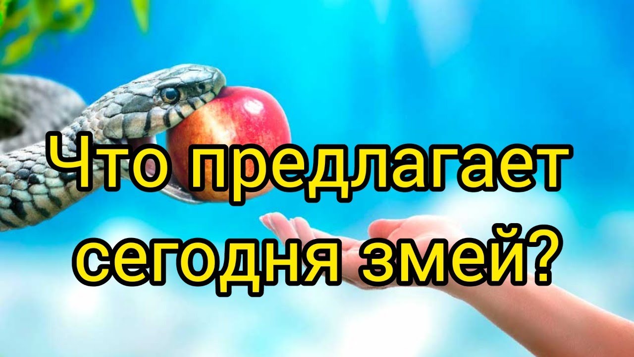 Запретный плод сегодня, который принимать нельзя. - YouTube