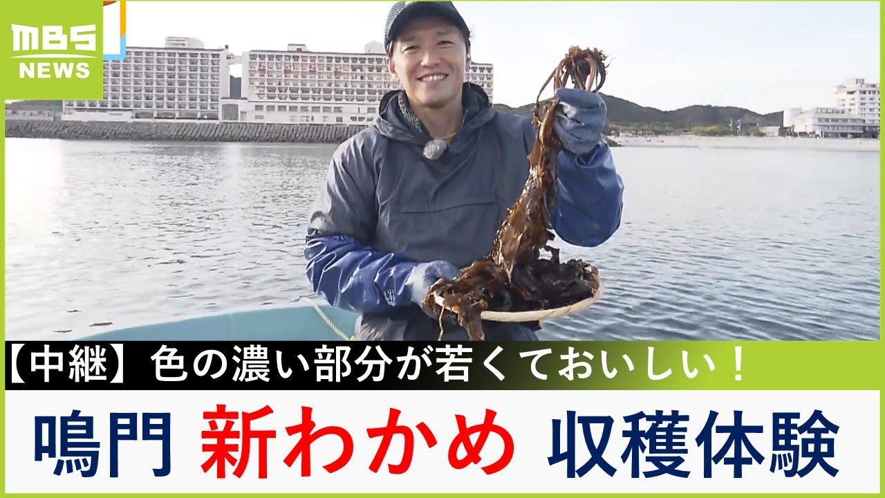 収穫最盛期！“わかめ”の収穫体験と絶品グルメが味わえる　徳島・鳴門市「アオアヲ ナルト リゾート」【現場から生中継】（2024年2月28日）
