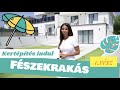 FÉSZEKRAKÁS- Kertrendezés a káosz után 1.rész