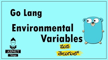 Environmental variable Handle in Go | Go Lang Telugu Tutorial