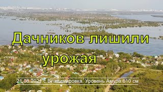 Наводнение. Левый берег. Хабаровск. Дачников Владимировки и Осиновки опять оставили без урожая.