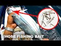 How to Catch Skipjack Tuna using Dextrose Hose as Lure | Traditional Fishing "Tapsay" Tulingan