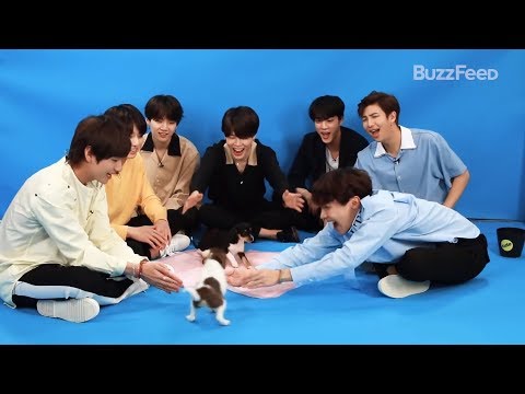 اگه مصاحبه های بی تی اس دوبله میشدن