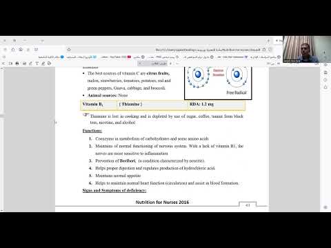 chapter 5 vitamin