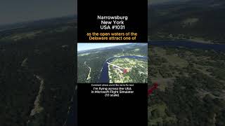 Narrowsburg, New York from Microsoft Flight Simulator #narrowsburg #newyork #msfs #usa #unitedstates