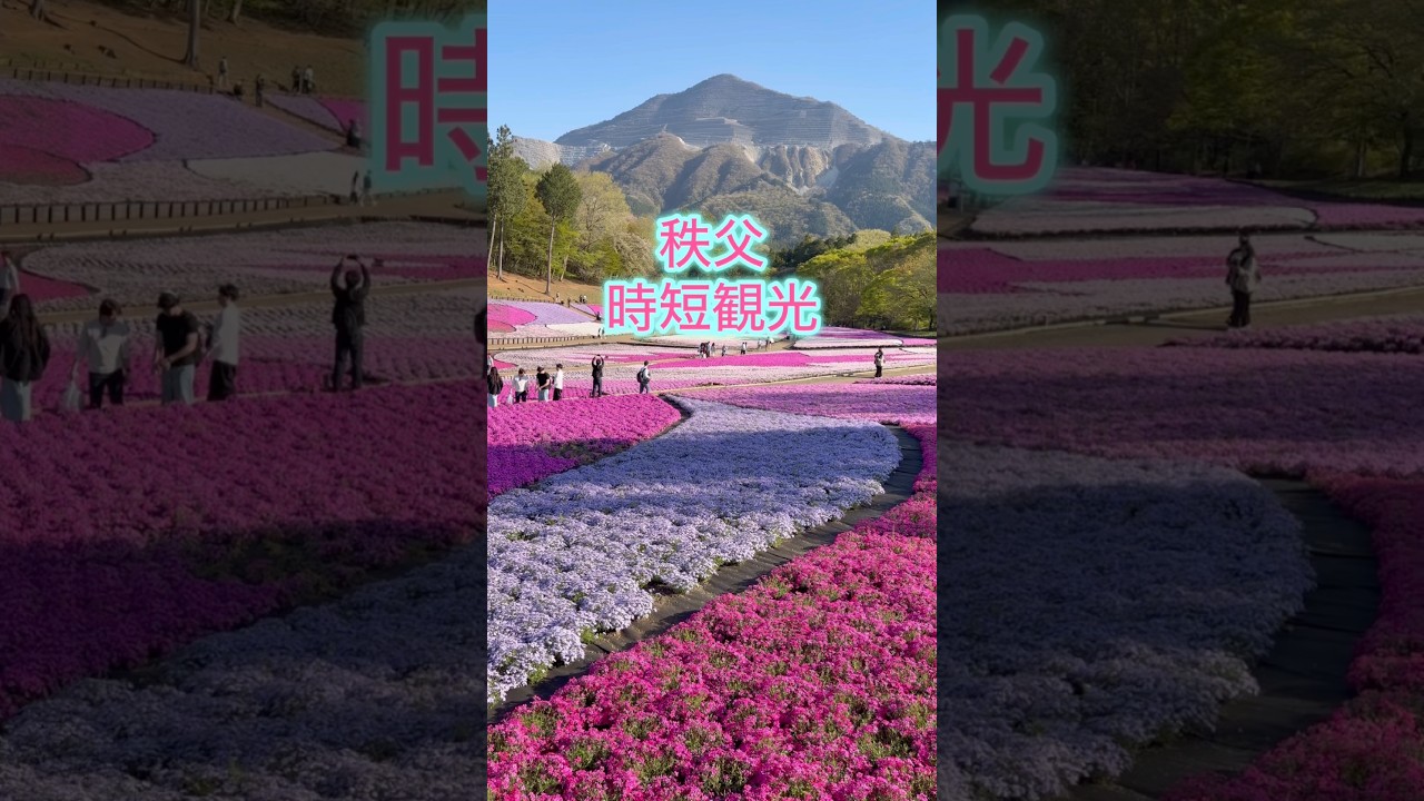 秩父 広く浅く時短観光