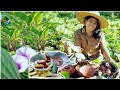 Harvesting & Cooking Caramelized Sweet Potato or "Kamote Que"