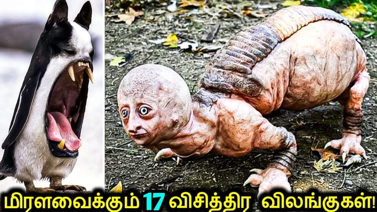 மனிதர்களை மிரளவைக்கும் 17 விசித்திர விலங்குகள்! | Rarest Animals in the World | Tamil Ultimate