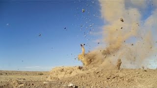 Prairie Dogs Go Boom!