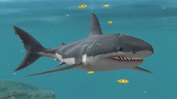 Jaws Unleashed - Blood On The Beach