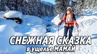 Мамай. Наш Яркий поход [Мамай Кунг] горы Хамар-Дабан