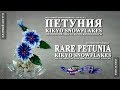 Петуния мастер-класс (RUS/ENG subtitles)