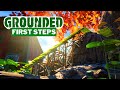 Grounded in 2024  first steps  fresh start gameplay 2