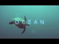 The Ocean - Nick McGauley