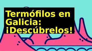 La vida en aguas termales: descubriendo a los termófilos de Galicia