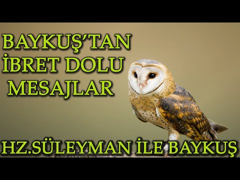 Hz Süleyman İle Baykuş İBRETLİ Mesajlar