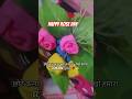 Handmade Clay Rose by Kids 🌹 | Cute Craft Idea, #simpleclayartforkids, #rpgakidsworld
